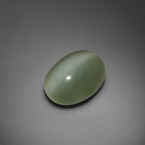 Actinolite cat's eye vert naturelle coupe ovale, 7,66 ct, transparent