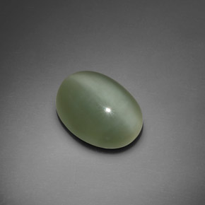 Actinolite cat's eye vert naturelle coupe ovale, 7,66 ct, transparent