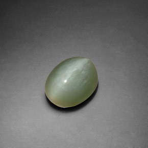 Actinolite œil de chat Vert naturelle Coupe ovale, 2.76 ct, Transparent