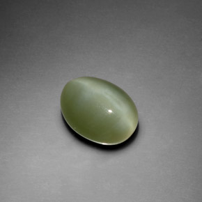 Actinolite œil de chat Vert naturelle Coupe ovale, 2.78 ct, Transparent