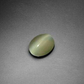 Actinolite œil de chat Vert naturelle Coupe ovale, 1.22 ct, Transparent