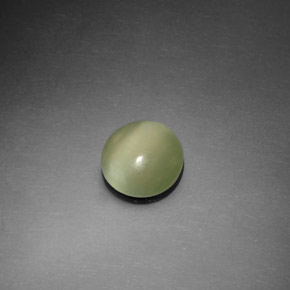 Actinolite cat's eye vert naturelle coupe roude, 1,10 ct, transparent