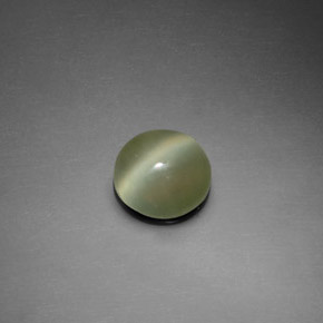 Actinolite cat's eye vert naturelle coupe roude, 1,39 ct, transparent