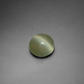 Actinolite cat's eye vert naturelle coupe roude, 1,39 ct, transparent