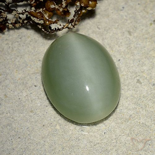 6.14ct Naturel Vert terreux Actinolite œil de chat, ovale, Translucide