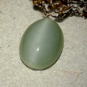 Actinolite œil de chat Vert terreux naturelle ovale, 6.14 ct, Translucide