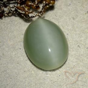 Actinolite œil de chat Vert terreux naturelle ovale, 6.14 ct, Translucide