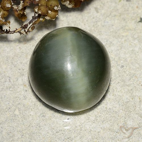 7.39ct Naturel Vert terreux Actinolite œil de chat, Tour, Translucide