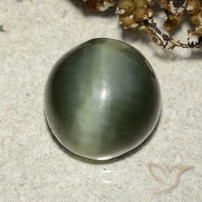 Actinolite œil de chat Vert terreux naturelle Tour, 7.39 ct, Translucide
