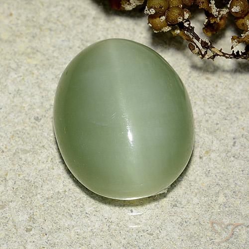 Actinolite œil de chat Vert clair naturelle ovale, 6.24 ct, Translucide