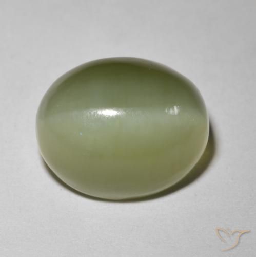 5.80ct Naturel Vert terreux Actinolite œil de chat, ovale, Translucide