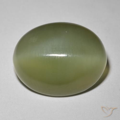 Actinolite œil de chat Vert foncé naturelle ovale, 8.12 ct, Translucide