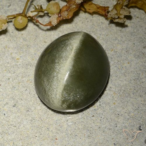 4.60ct Naturel Vert brunâtre Actinolite œil de chat, ovale, Opaque