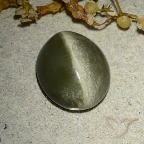 Actinolite œil de chat Vert brunâtre naturelle ovale, 4.60 ct, Opaque