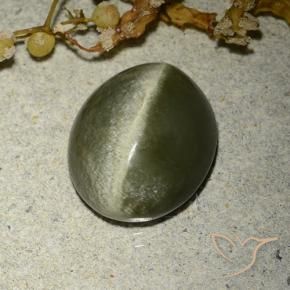 Actinolite œil de chat Vert brunâtre naturelle ovale, 4.60 ct, Opaque