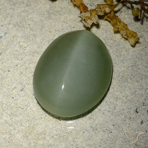 6.77ct Naturel Vert moyen-léger Actinolite œil de chat, ovale, Translucide