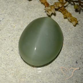 Actinolite œil de chat Vert moyen-léger naturelle ovale, 6.77 ct, Translucide