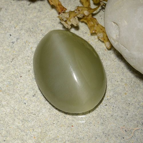 5.88ct Naturel Vert jaunâtre Actinolite œil de chat, ovale, Translucide