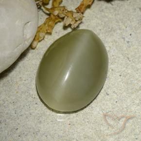 Actinolite œil de chat Vert jaunâtre naturelle ovale, 5.88 ct, Translucide