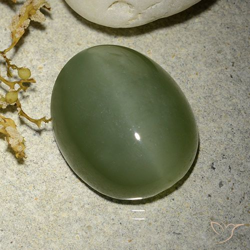 12.38ct Naturel Vert militaire Actinolite œil de chat, ovale, Translucide