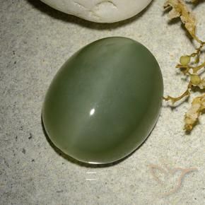 Actinolite œil de chat Vert militaire naturelle ovale, 12.38 ct, Translucide