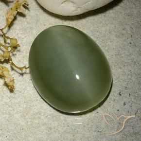 Actinolite œil de chat Vert militaire naturelle ovale, 12.38 ct, Translucide