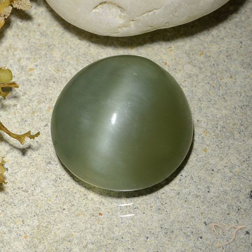 5.56ct Naturel Vert chaud Actinolite œil de chat, Tour, Translucide