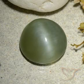 Actinolite œil de chat Vert chaud naturelle Tour, 5.56 ct, Translucide