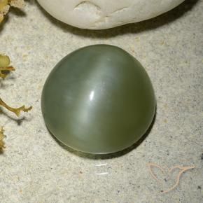 Actinolite œil de chat Vert chaud naturelle Tour, 5.56 ct, Translucide