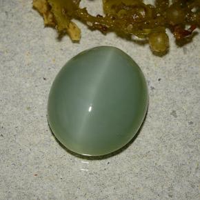 Actinolite œil de chat vert naturelle coupe ovale, 6,19 ct, translucide