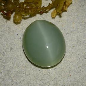 Actinolite œil de chat vert naturelle coupe ovale, 6,19 ct, translucide