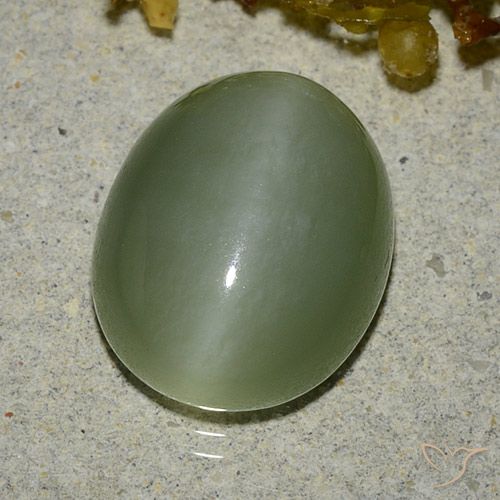 6.83ct Naturel Vert chaud Actinolite œil de chat, ovale, Translucide
