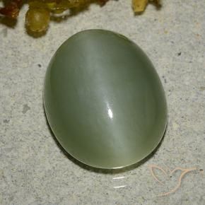 Actinolite œil de chat Vert chaud naturelle ovale, 6.83 ct, Translucide