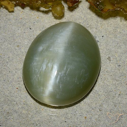 8.60ct Naturel Vert moyen Actinolite œil de chat, ovale, Translucide