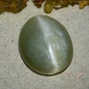 Actinolite œil de chat Vert moyen naturelle ovale, 8.60 ct, Translucide
