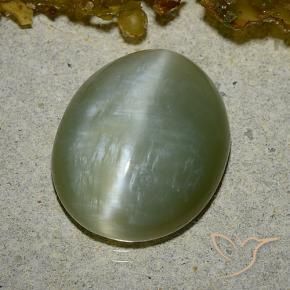 Actinolite œil de chat Vert moyen naturelle ovale, 8.60 ct, Translucide