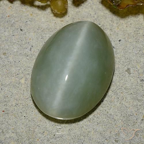 5.92ct Naturel Vert mousse léger Actinolite œil de chat, ovale, Translucide