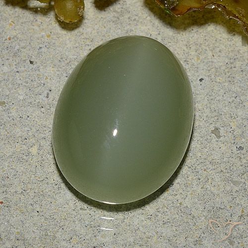 6.92ct Naturel Vert militaire Actinolite œil de chat, ovale, Translucide