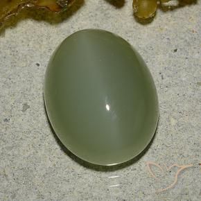 Actinolite œil de chat Vert militaire naturelle ovale, 6.92 ct, Translucide