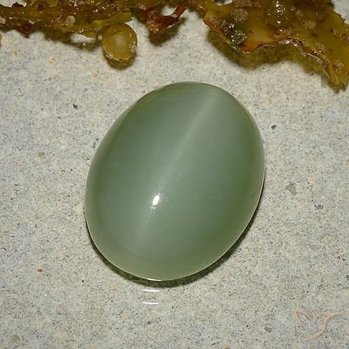 6.46ct Naturel Vert terreux Actinolite œil de chat, ovale, Translucide