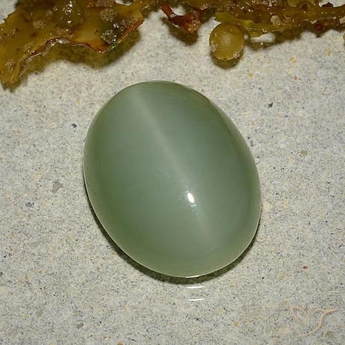 Actinolite œil de chat Vert terreux naturelle ovale, 6.46 ct, Translucide