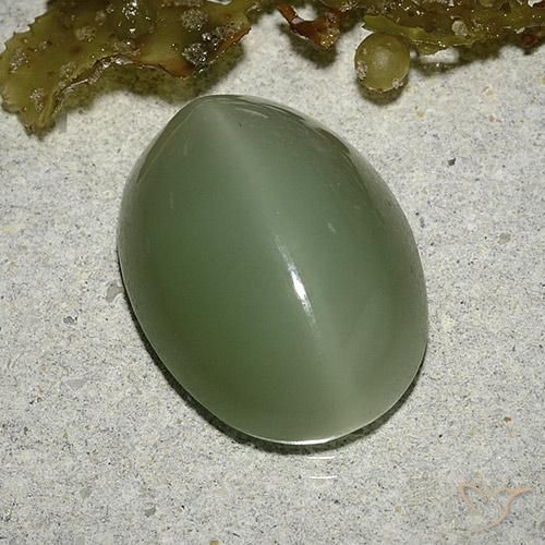 Actinolite cat's eye vert naturelle coupe ovale, 8,04 ct, translucide