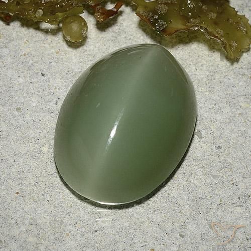 Actinolite cat's eye vert naturelle coupe ovale, 8,04 ct, translucide