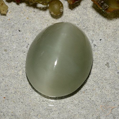 5.33ct Naturel Vert brunâtre Actinolite œil de chat, ovale, Translucide