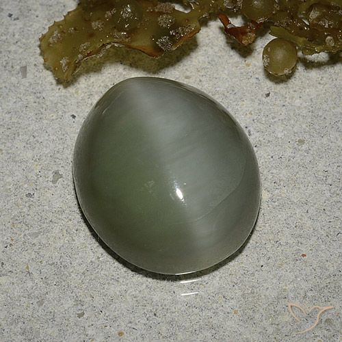 6.78ct Naturel Vert moyen Actinolite œil de chat, ovale, Translucide