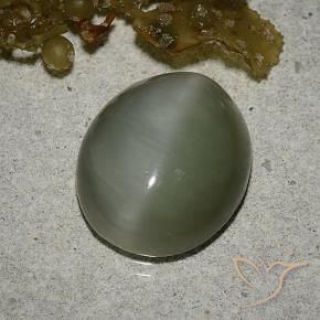 Actinolite œil de chat Vert moyen naturelle ovale, 6.78 ct, Translucide