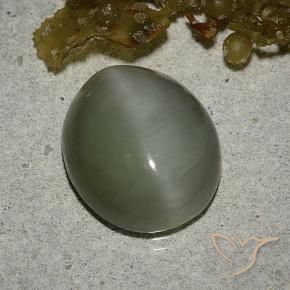 Actinolite œil de chat Vert moyen naturelle ovale, 6.78 ct, Translucide