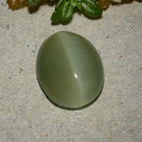 Actinolite cat's eye vert naturelle coupe ovale, 5,33 ct, translucide