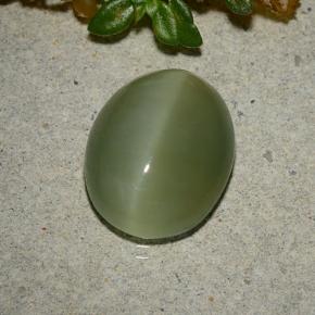 Actinolite cat's eye vert naturelle coupe ovale, 5,33 ct, translucide