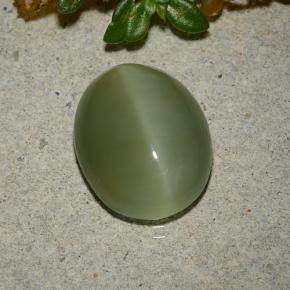 Actinolite cat's eye vert naturelle coupe ovale, 5,33 ct, translucide